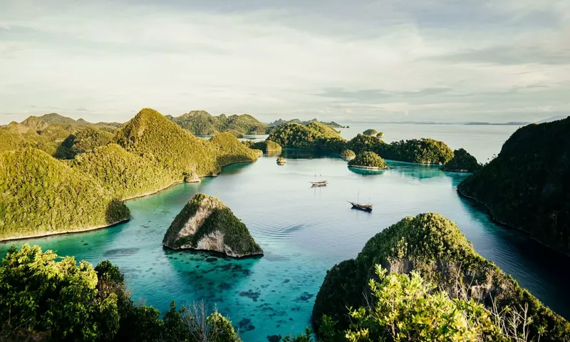 Senja image 19