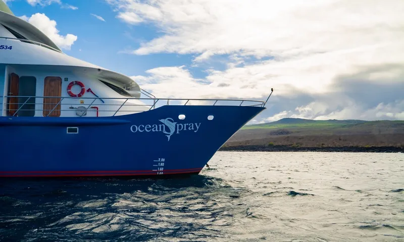Ocean Spray – Bild 4