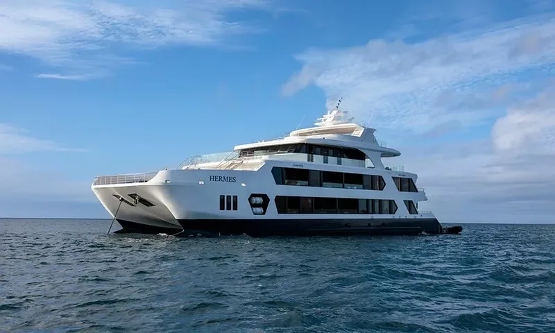 Hermes Catamaran – image 2