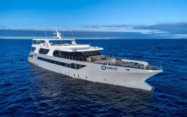 Galapagos Tribute by Tecnavin – Private Superyacht Charter in Ecuador