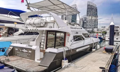 WaveShark II image 2