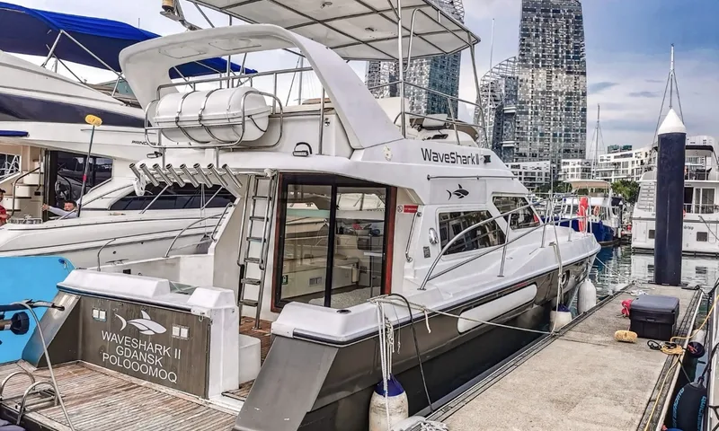 WaveShark II image 2
