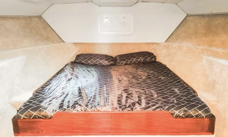 WaveShark II image 6