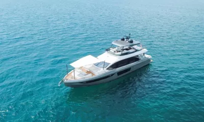 Spysea image 5