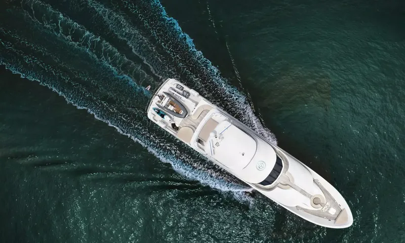 Sea Bear image 25