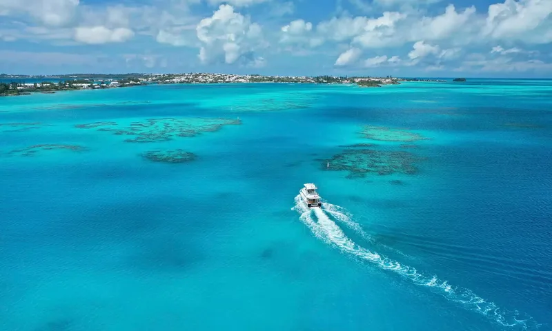 Traveler image 11