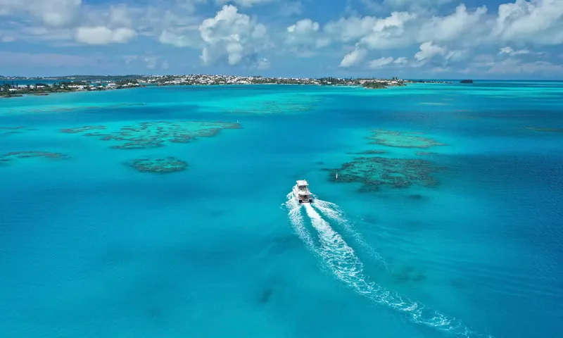 Traveler image 10