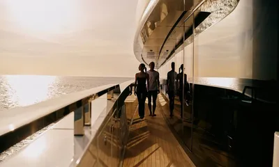 Silver Fox image 5