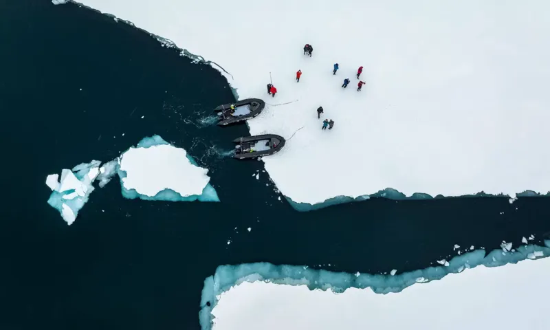Vikingfjord image 20