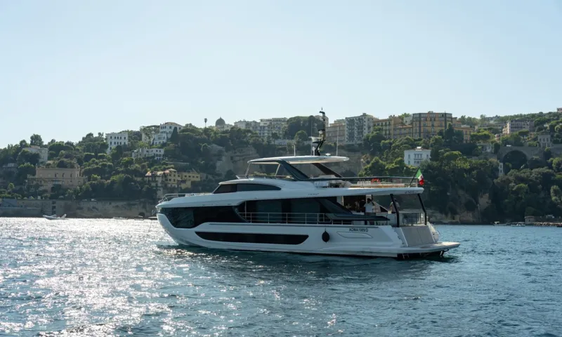 Angelo image 1